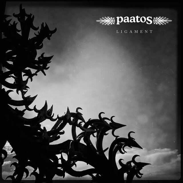 Cover art for album Ligament by Paatos