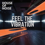 Feel The Vibration