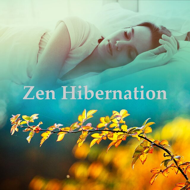 Zen Hibernation