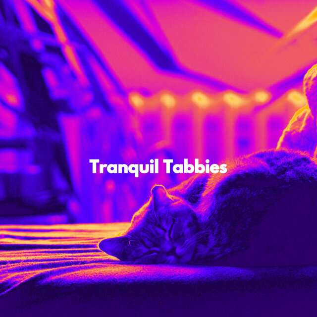 Tranquil Tabbies