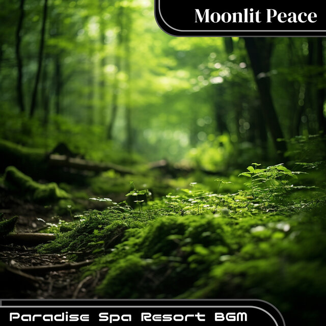 Paradise Spa Resort BGM