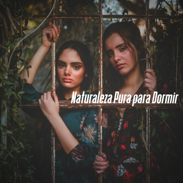 Naturaleza Pura para Dormir – 1 Hora de Melodías de Flora y Fauna para una Mejor Calidad del Sueño