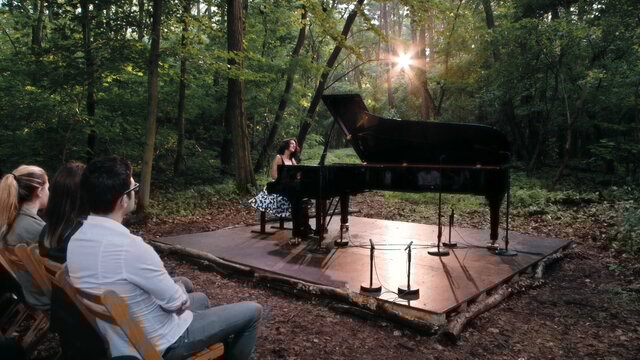 Etude in C-Sharp Minor, Op. 25/7