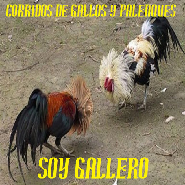 SOY GALLERO