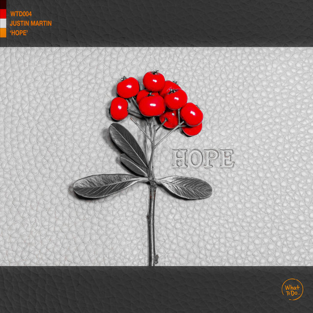 Cover art for album  by Justin Martin