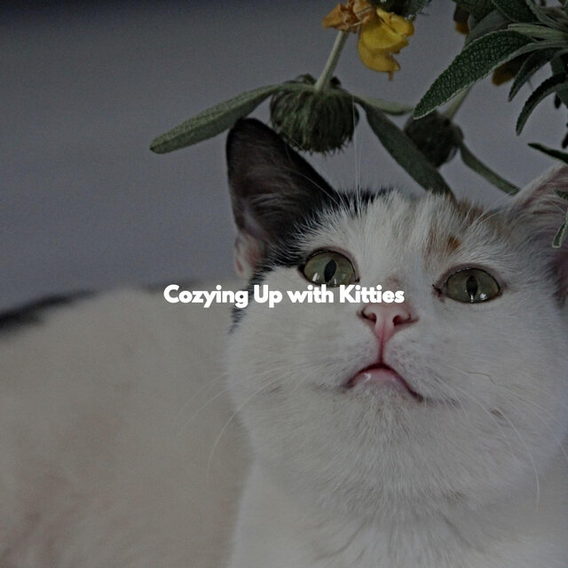 Cozying Up with Kitties