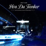 Hva Du Tænker