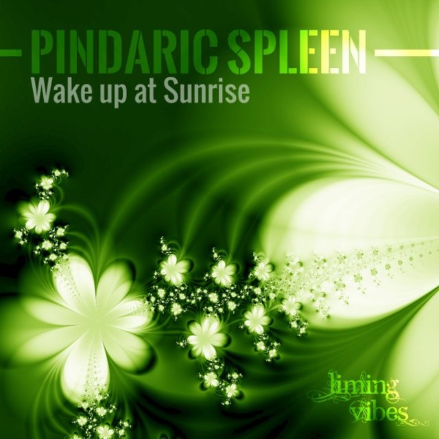 Wake up at Sunrise