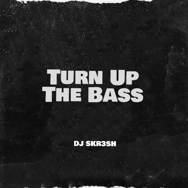 Turn Up The Bass