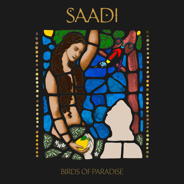 Birds of Paradise