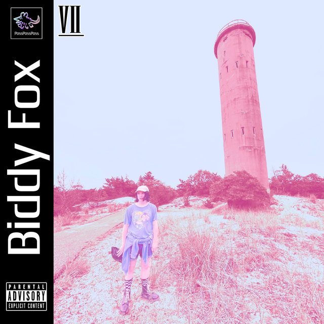 Biddy Fox VII