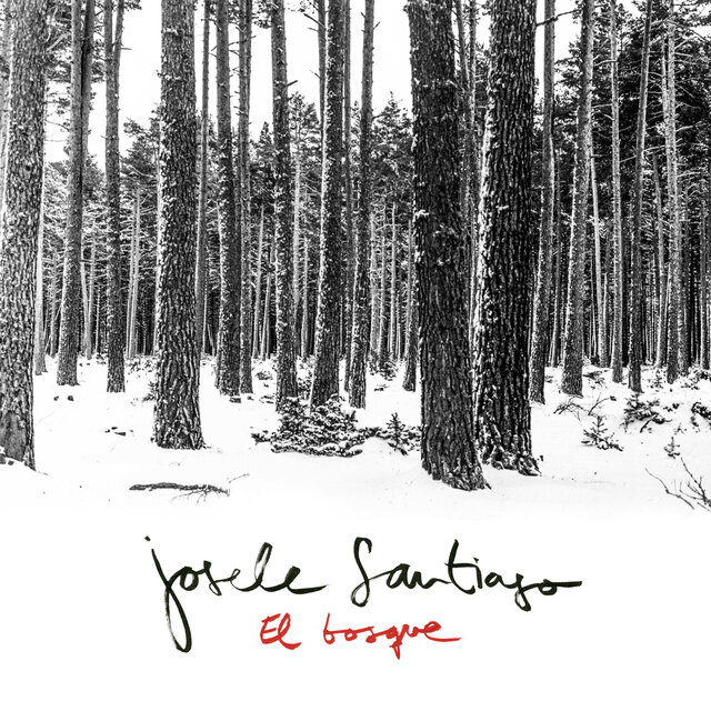 El Bosque (Radio Edit)
