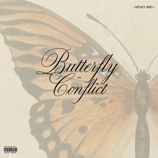 butterfly in conflict