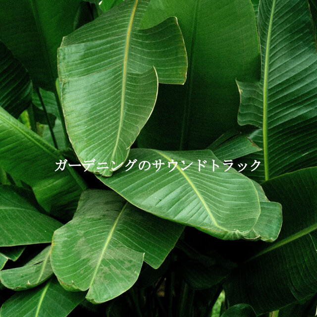 ガーデニングのサウンドトラック