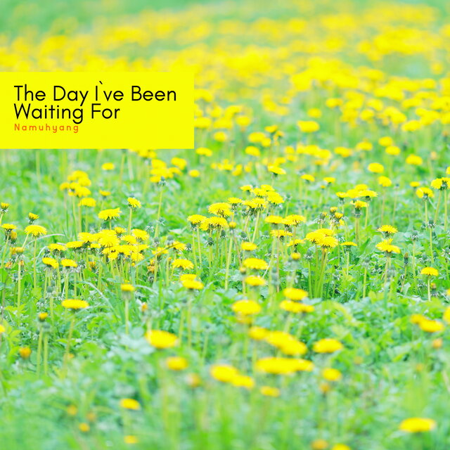 The Day I`ve Been Waiting For