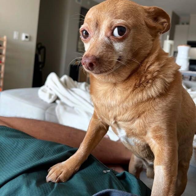 CHANCE