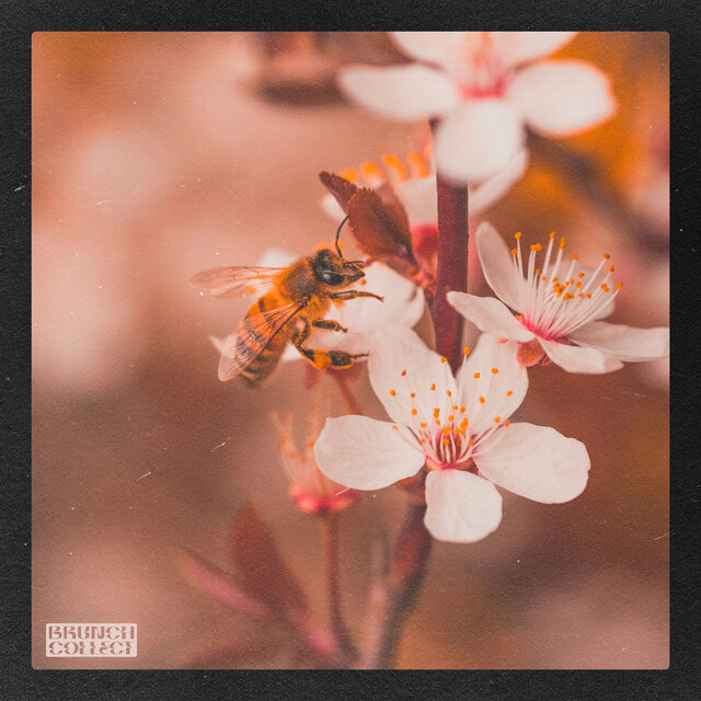 Busy Bee