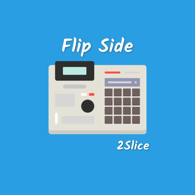 Flip Side