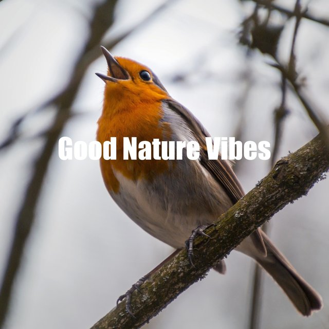 Good Nature Vibes