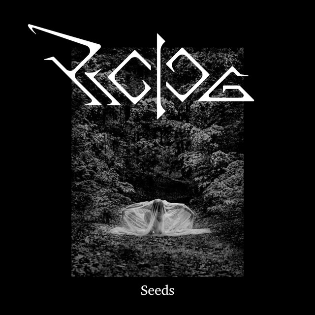 Seeds