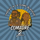 COMADRE 2