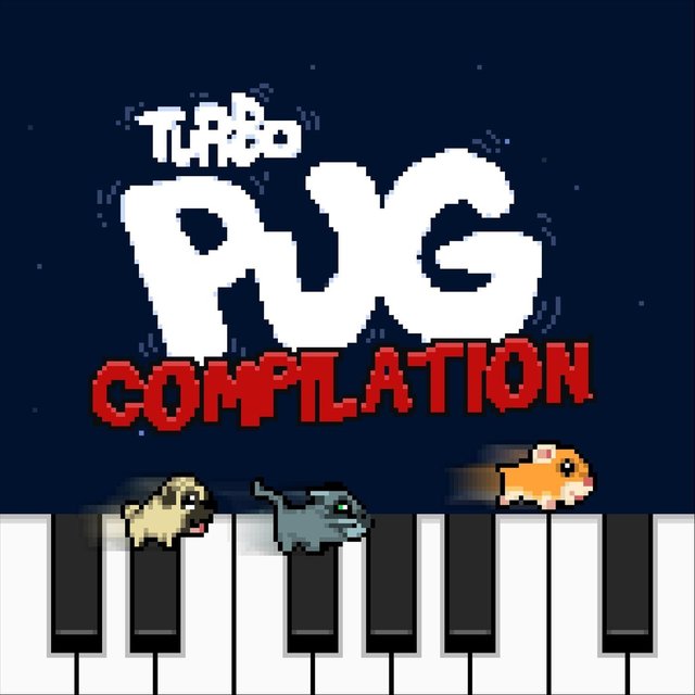 Turbo Pug Compilation