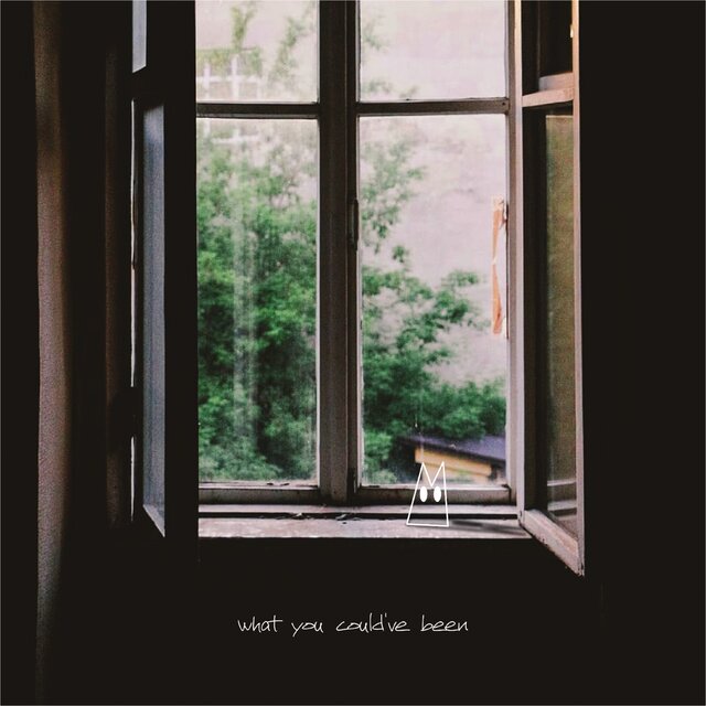 What You Could've Been
