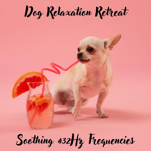 Dog Relaxation Retreat: Soothing 432Hz Frequencies, Stress Relief and Calming Therapy at Pet Spa