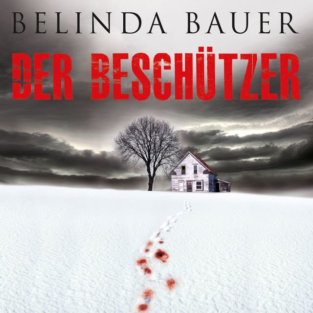 Der Beschützer (Ungekürzt)