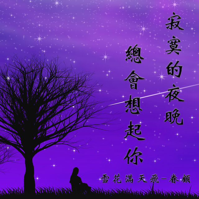 寂寞的夜晚总会想起你