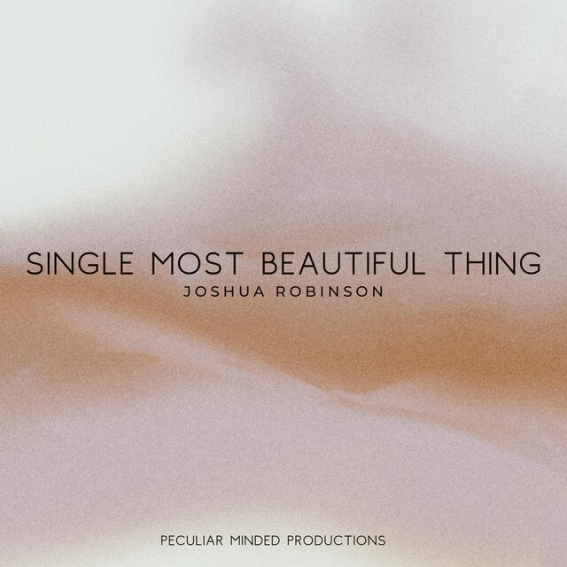 Single Most Beautiful Thing