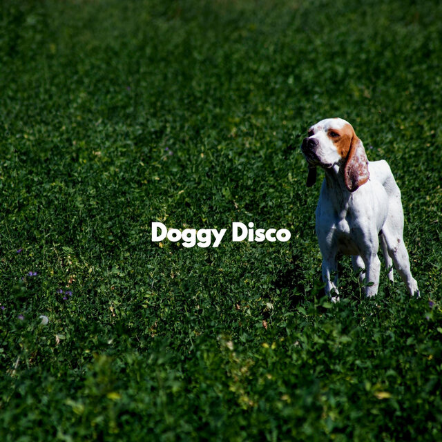 Doggy Disco