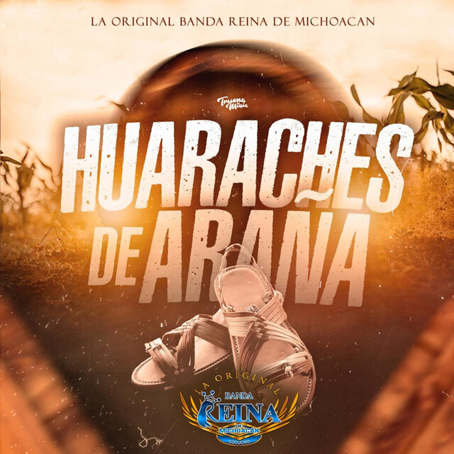 huaraches de araña