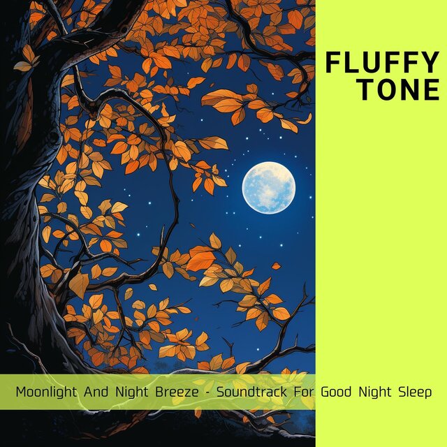 Moonlight and Night Breeze-Soundtrack for Good Night Sleep