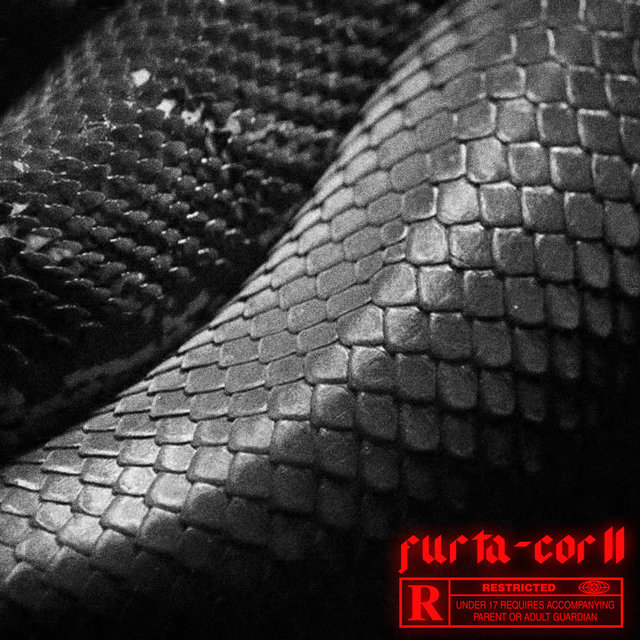 Furta-Cor 2