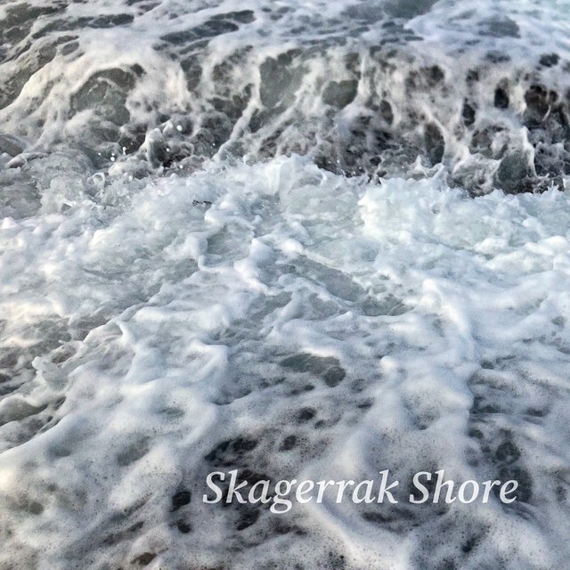 Skagerrak Shore