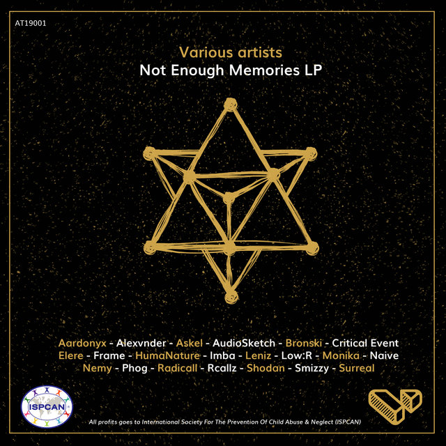 Not Enough Memories LP