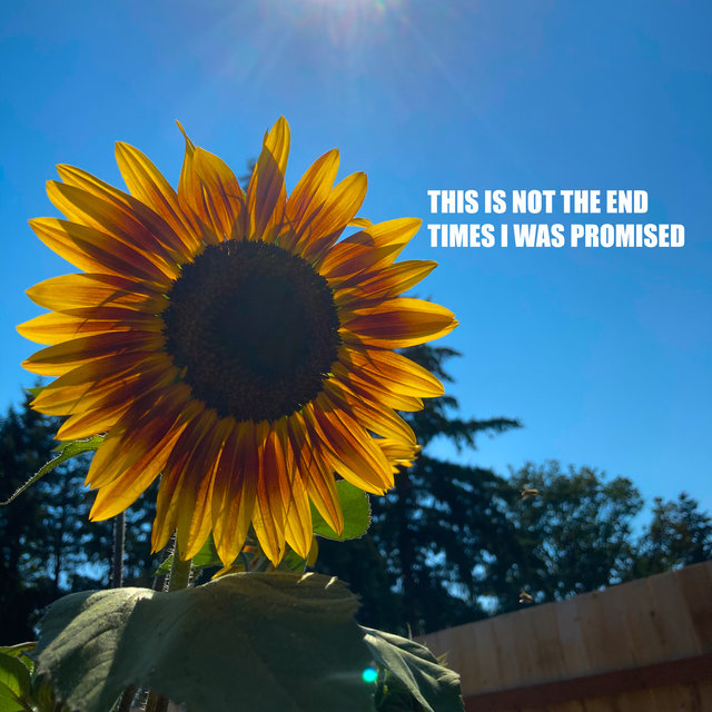 This Is Not The End Times I Was Promised