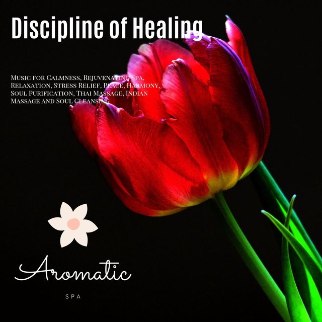 Discipline Of Healing (Music For Calmness, Rejuvenating Spa, Relaxation, Stress Relief, Peace, Harmony, Soul Purification, Thai Massage, Indian Massage And Soul Cleansing)