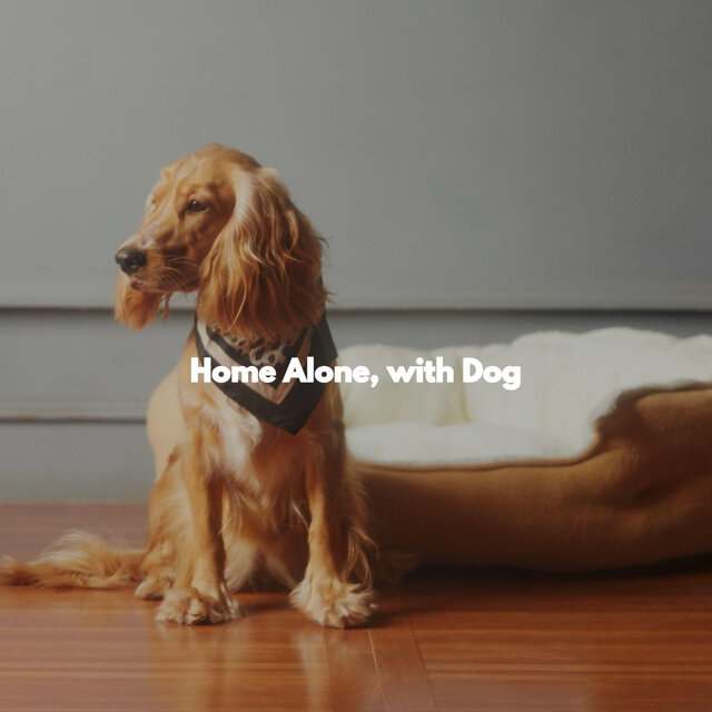 Home Alone, with Dog