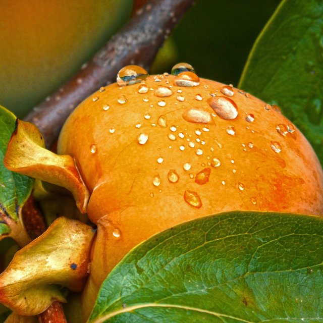 # Rain Sounds for Sleep #