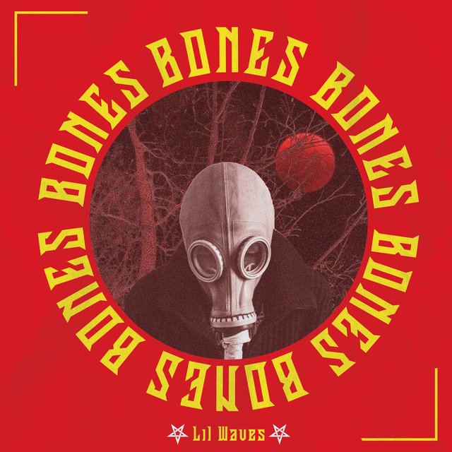 Bones