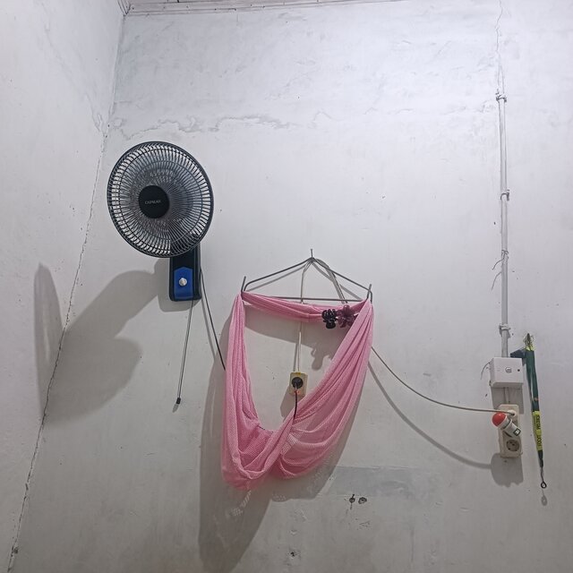 Menang hari ini