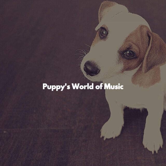 Puppy's World of Music