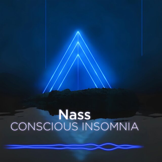 Conscious Insomnia