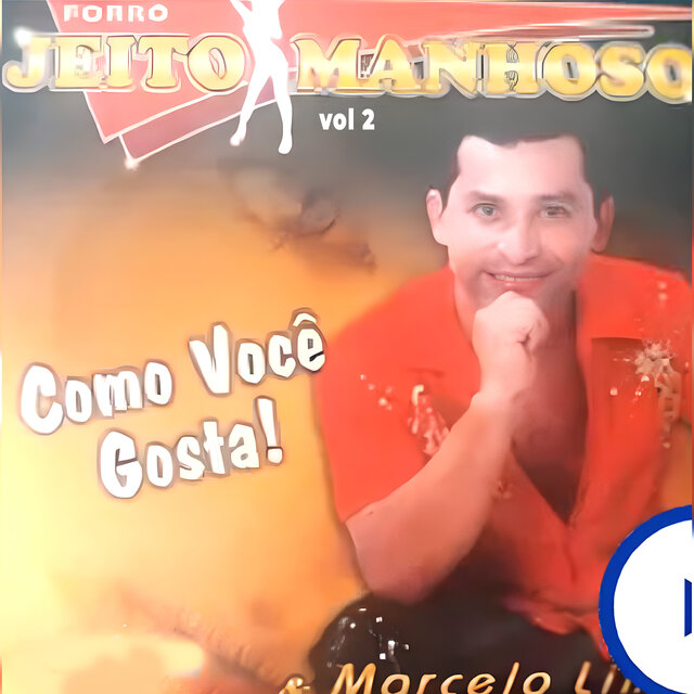 Como Você Gosta Vol 2