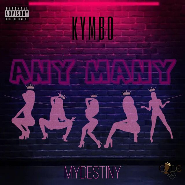Any Many (feat. MyDestiny)