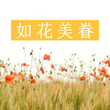 如花美眷