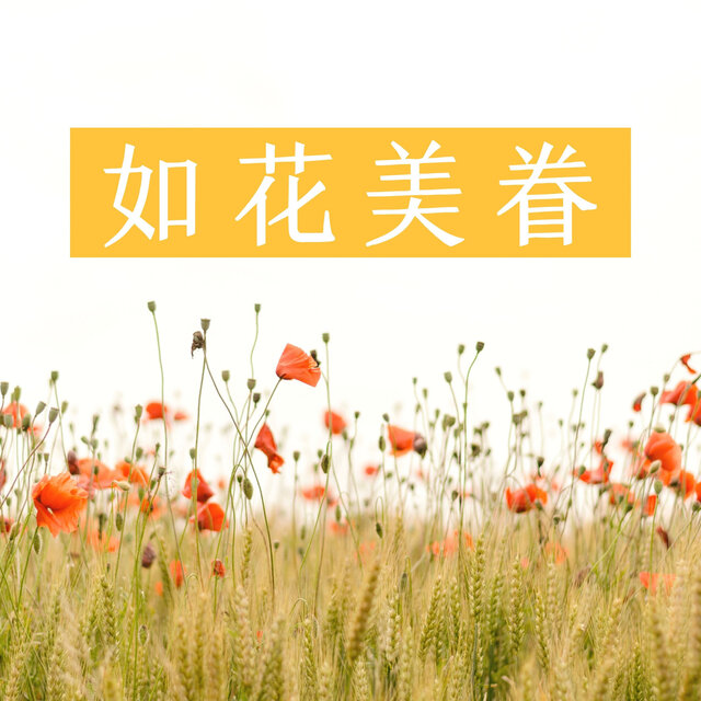 如花美眷