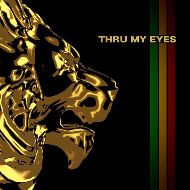 Thru My Eyes